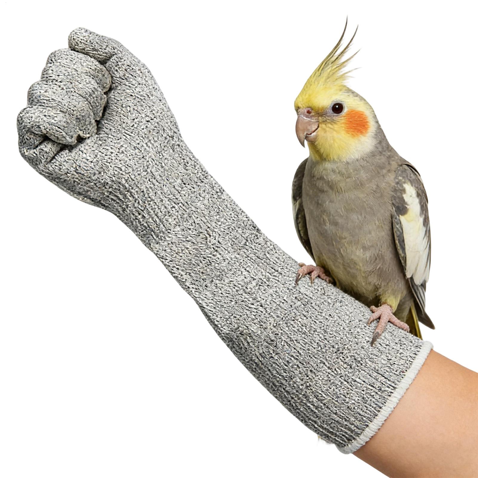 Men'S Grooming Product - Cat Bite Proof Gloves Scratch &
